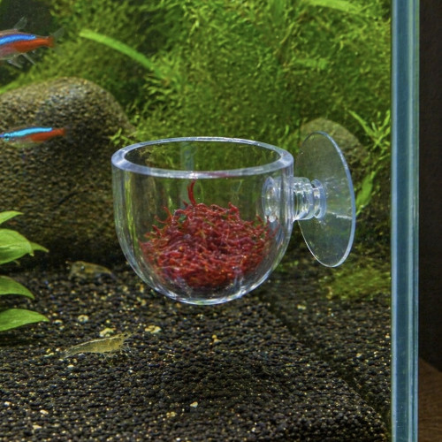 Mangeoire / support à plante