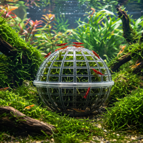 Boule en plastique pour mousse de java