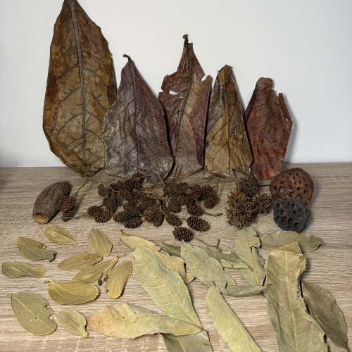 Pack XL décoration naturelle pour aquarium biotopes