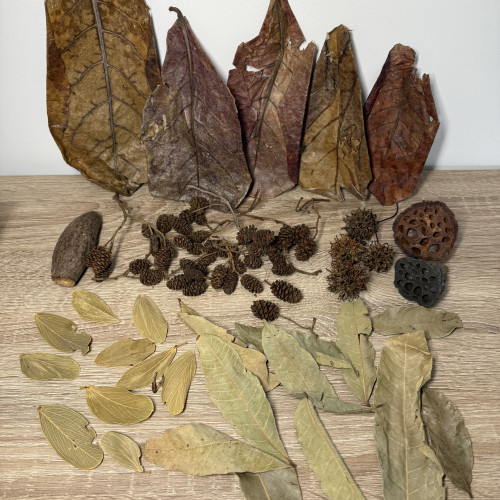 Pack XL décoration naturelle pour aquarium biotopes