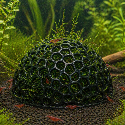 Abri pour crevette + abri pour mousse de java