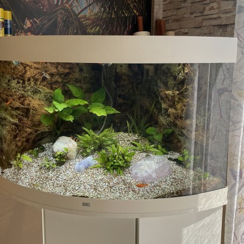 vends aquarium JUWEL Trigon Blanc 190 avec meuble