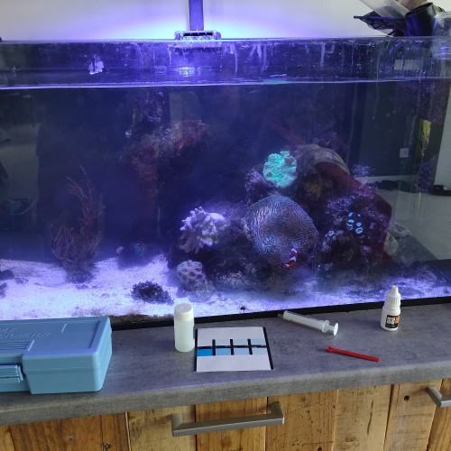 Aquarium recifal 2x90L