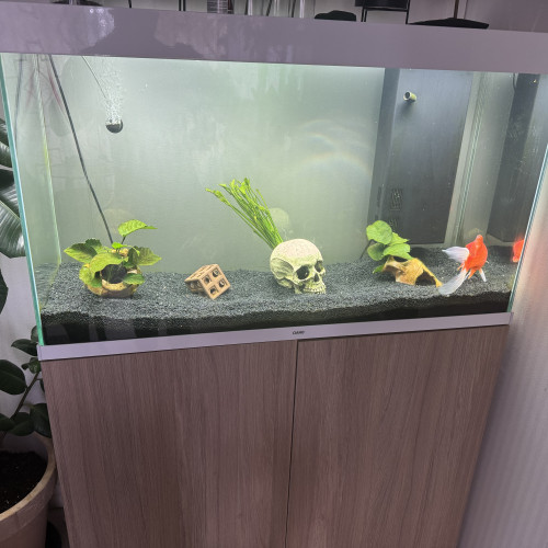 Meuble Ciano Aquarium Terrarium Vivarium