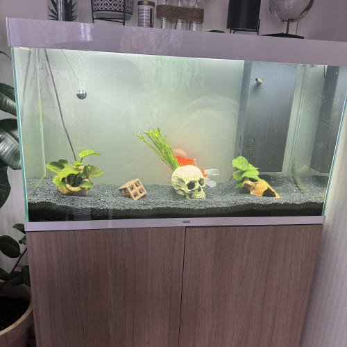 Meuble Ciano Aquarium Terrarium Vivarium