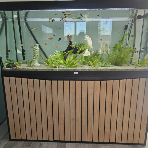 Vend aquarium de 450 litre