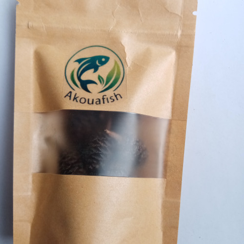 Cônes d’aulne x10 – naturels – aquarium crevettes & poissons