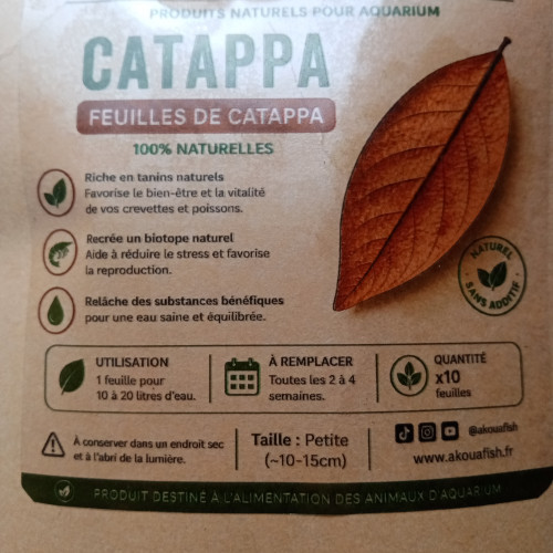 Feuilles de catappa x10 – petites (10–15 cm) – aquarium crevettes