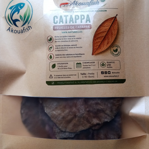 Feuilles de catappa x10 – petites (10–15 cm) – aquarium crevettes
