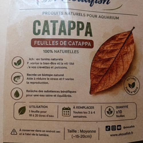 Feuilles de catappa x10 – moyennes (15–20 cm) – aquarium biotope