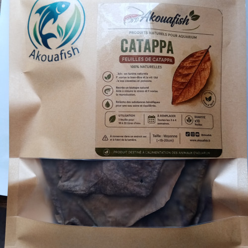 Feuilles de catappa x10 – moyennes (15–20 cm) – aquarium biotope