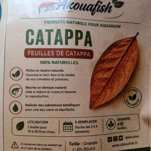 Feuilles de catappa x10 – grandes (20–30 cm) – biotope aquarium crevette