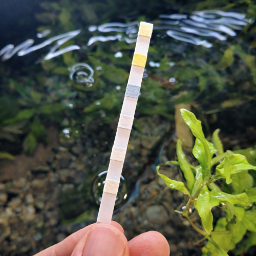 Test d’eau aquarium 6 en 1 – 50 Bandelettes pH GH KH NO2 NO3 – Analyse rapide qualité de l’eau