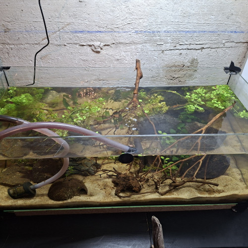 4 aquarium 13,60,80,100 litres