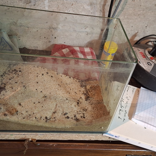 4 aquarium 13,60,80,100 litres