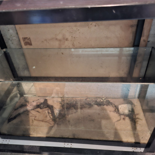 4 aquarium 13,60,80,100 litres