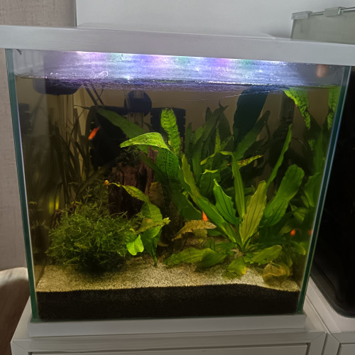 Vend aquarium complet