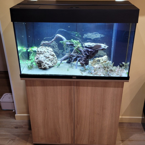 Aquarium Juvel 100 L et meuble