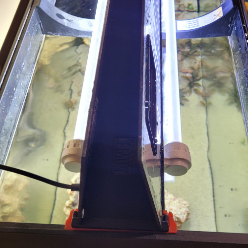 Aquarium Juvel 100 L et meuble