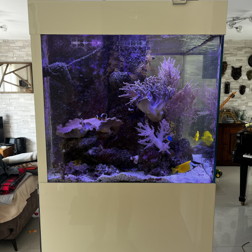 Aquarium complet eau de mer