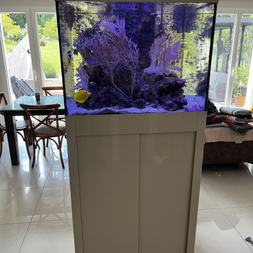Aquarium complet eau de mer