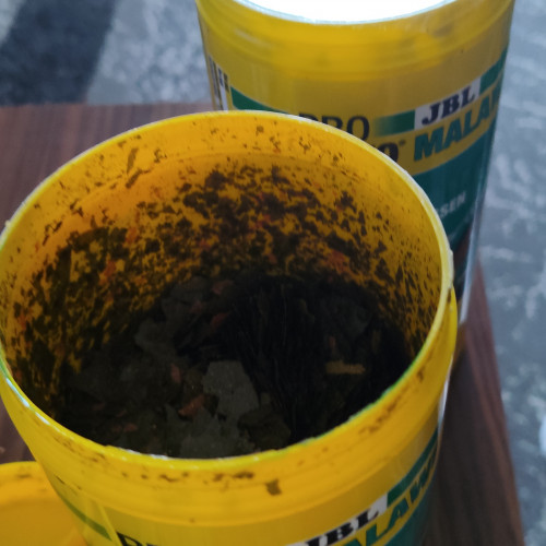 Nourriture pour poisson