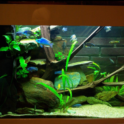 Aquarium 400l