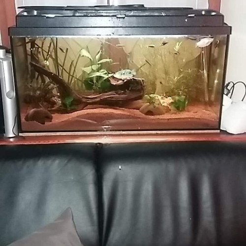 Aquarium 100l