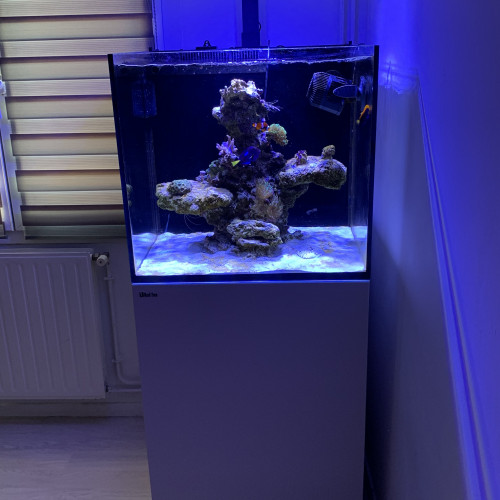 Aquarium red sea serie Max E-170