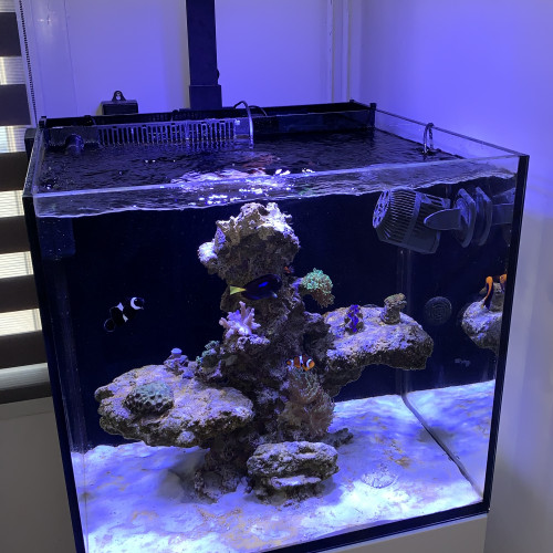 Aquarium red sea serie Max E-170