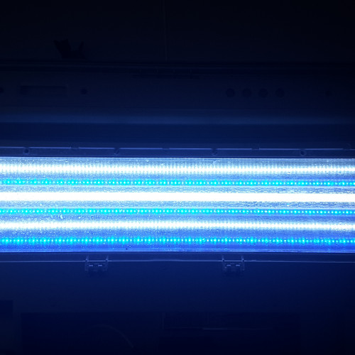 Tube LED t5 85cm