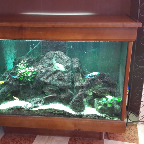 Bel aquarium bar de salon sur pied de 450 litres