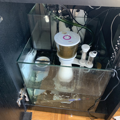 Vends : Red Sea Reefer MAX E 170 + Kit Decante et vivant