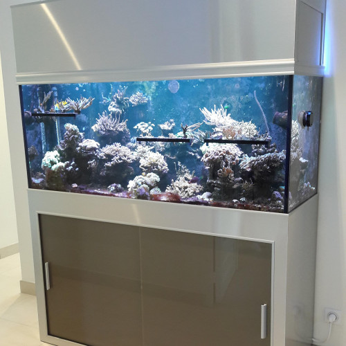 Aquarium Récifal complet de 450 litres