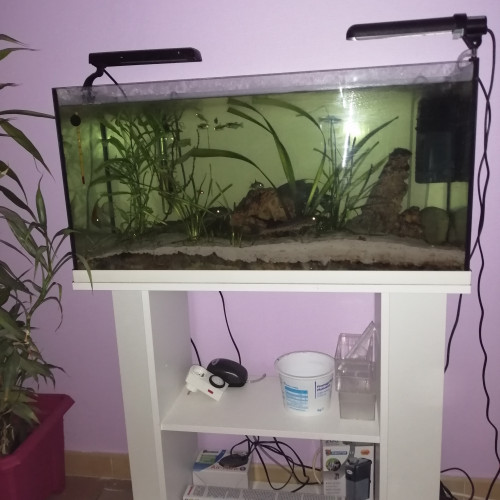 Aquarium 100l