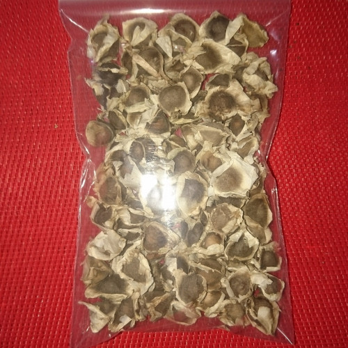 Graines de moringa pour crevettes