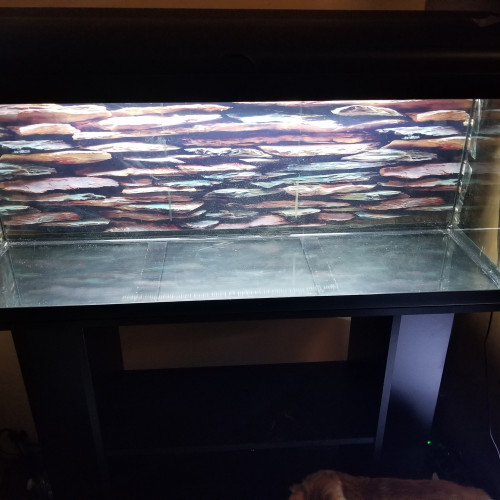 Aquarium avec meuble + accessoires