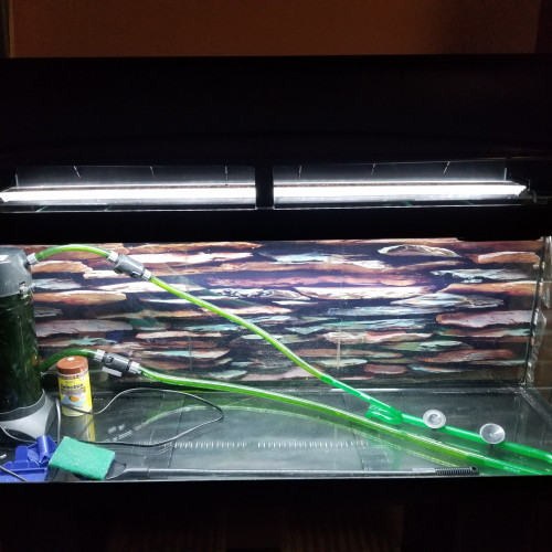 Aquarium avec meuble + accessoires