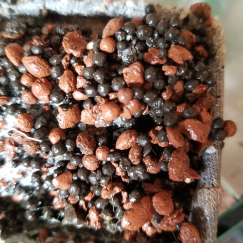 Aquarium avec meuble + accessoires