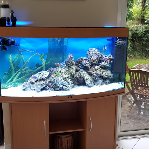 Vends aquarium eau de mer 260L avec poissons