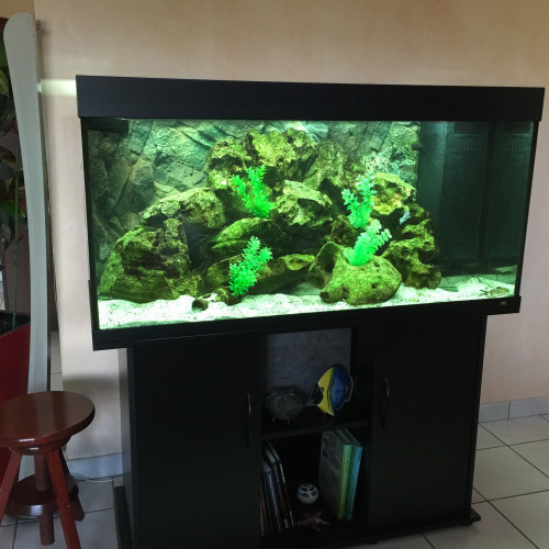 Donne aquarium 300L Juwel