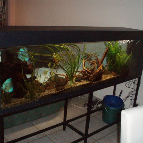 Superbe aquarim grande taille