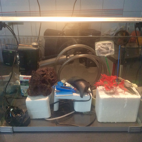 Aquarium 70 L