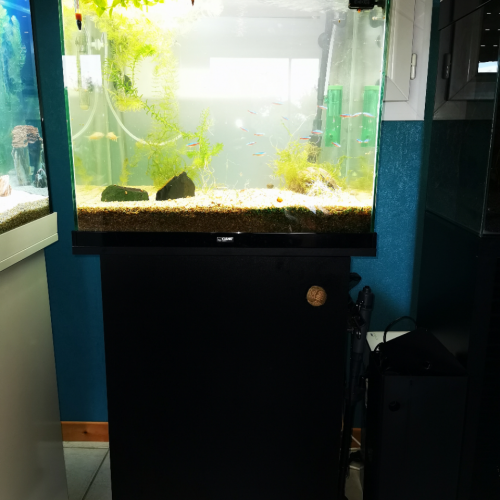 Aquarium Ciano Complet Garantie (acheté en décembre 2019)