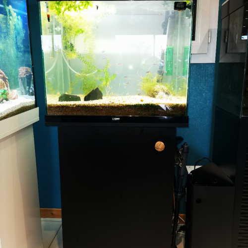 Aquarium Ciano Complet Garantie (acheté en décembre 2019)