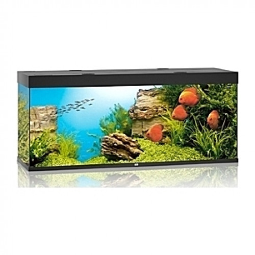 Aquarium JUWEL Rio (Noir) - 450l