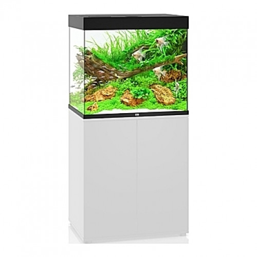 Aquarium JUWEL Lido (Noir) - 200l