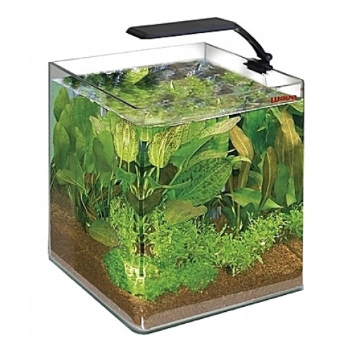 Aquarium Amtra/Wave Box Cubo ORION 25 - 16,5L