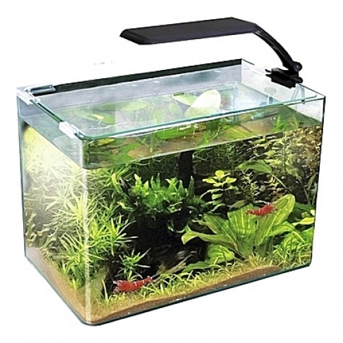 Aquarium Amtra/Wave Box 30 ORION - 11L