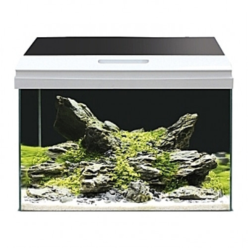 Aquarium Amtra/Wave Modern Tank - 40L